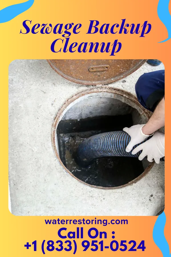 Sewage Backup Cleanup in Herscher, IL