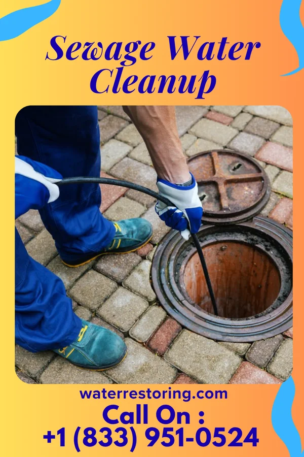 Sewage Water Cleanup in Herscher, IL