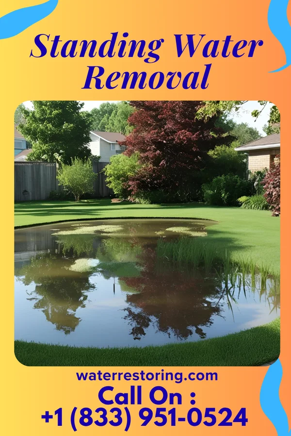 Standing Water Removal in Herscher, IL